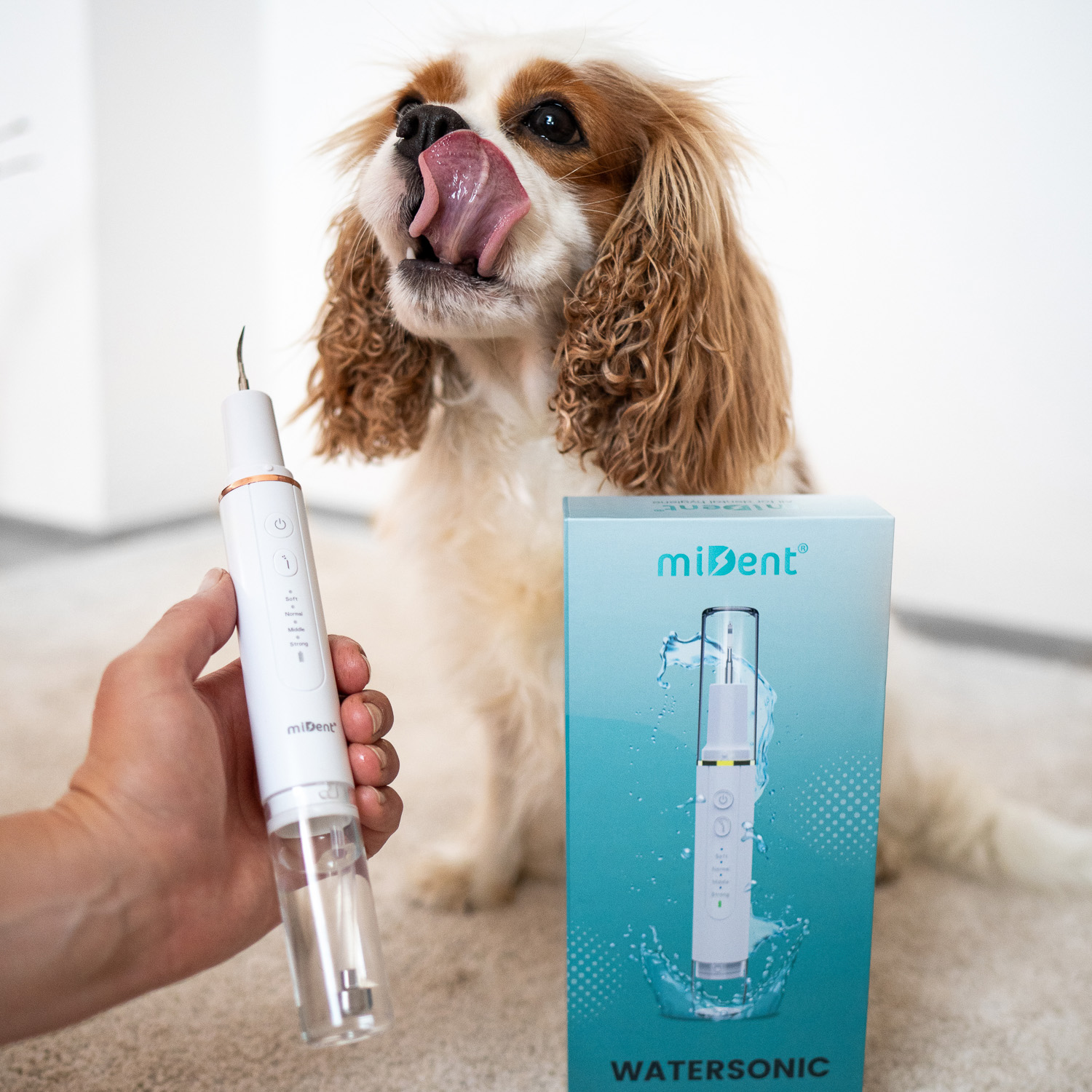 Hund mit Gerät und Verpackung